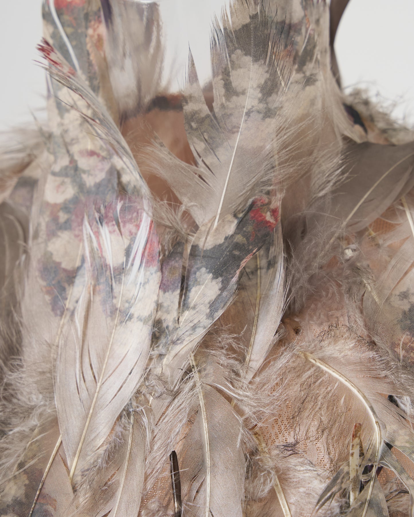 FEATHERS BUSTIER